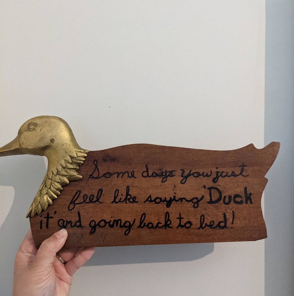 Super funky vintage duck sign